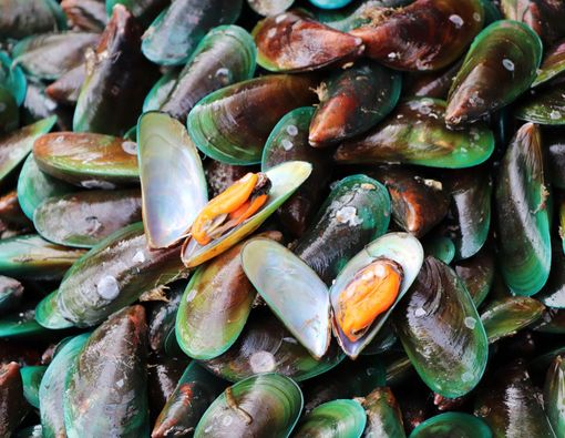 Makanan Penyebab Asam Urat Bisa Picu Penyakit Ginjal?