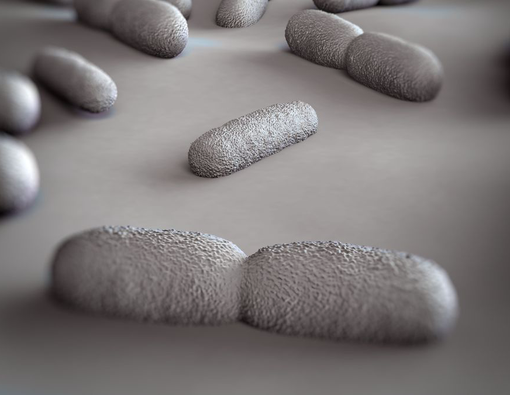 Hati-Hati Infeksi Bakteri Listeria, Ini Gejalanya