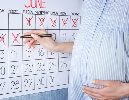 Tahap Perkembangan Janin di Usia Kehamilan 8 Minggu