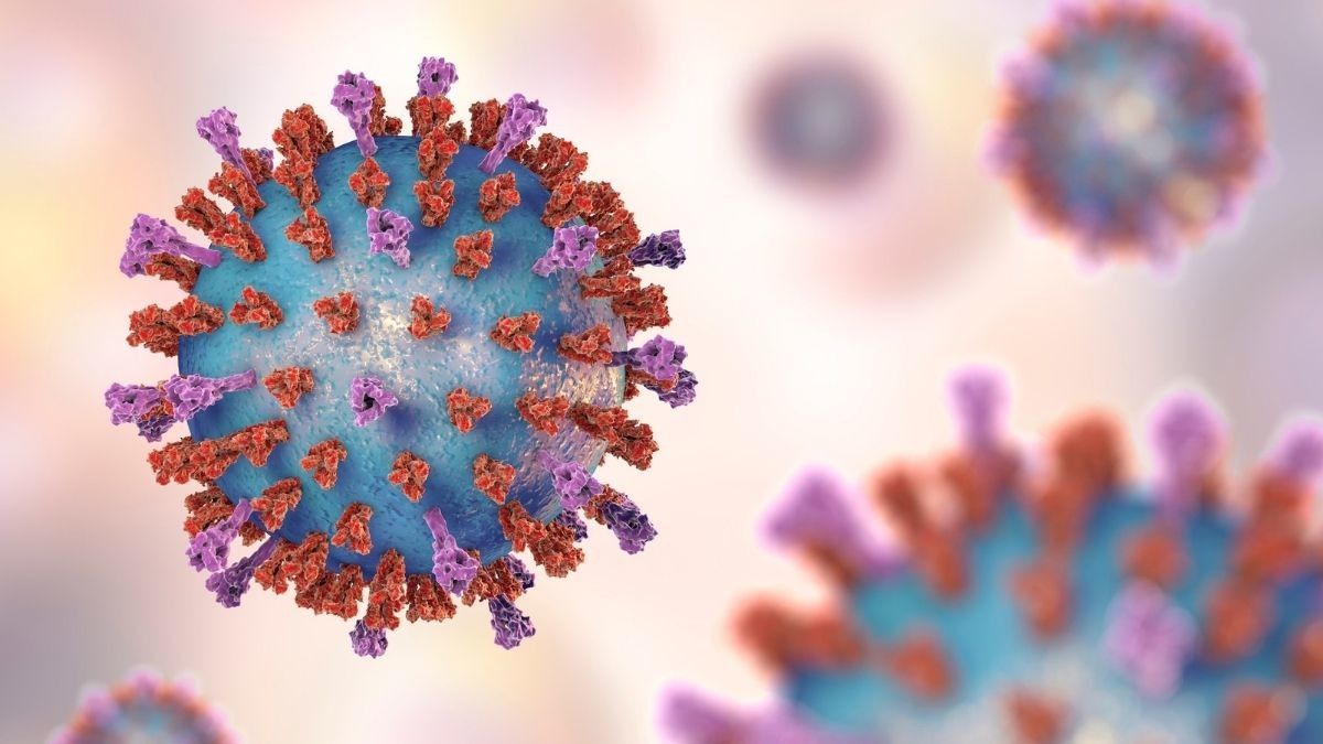 Respiratory Syncytial Virus Merebak di Selandia Baru, Penyakit Apa?