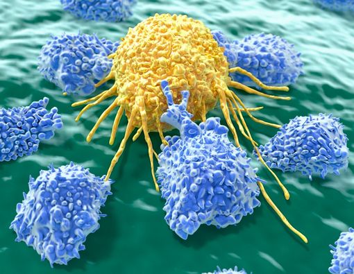 Mendalami Keajaiban Natural Killer Cell dan Rahasia Meningkatkannya dalam Tubuh Manusia