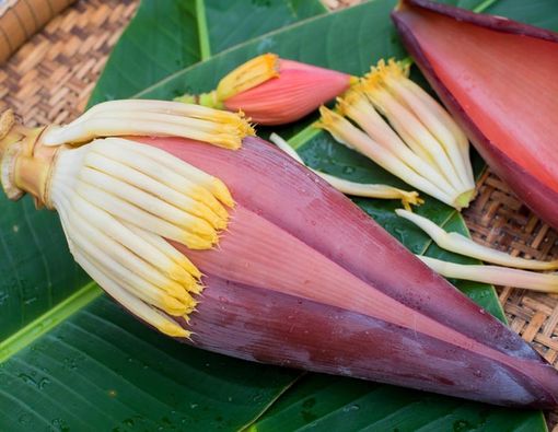 Berbagai Manfaat Mengonsumsi Jantung Pisang