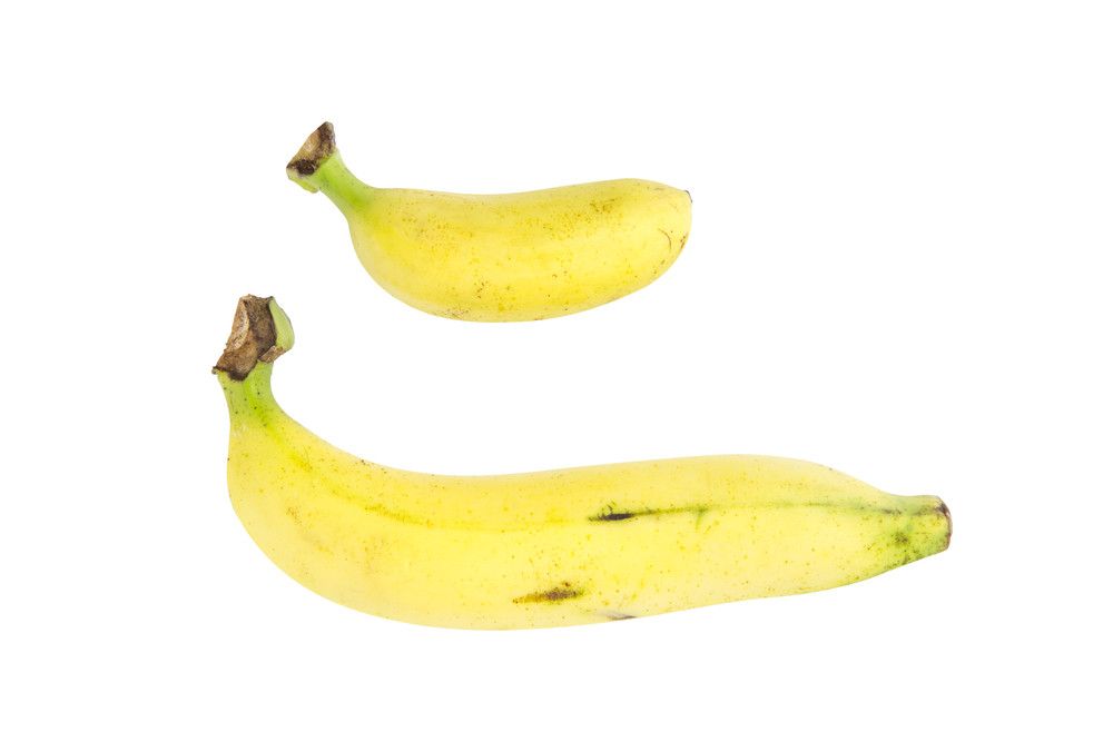 Benarkah Ukuran Penis Pengaruhi Kesuburan Pria?