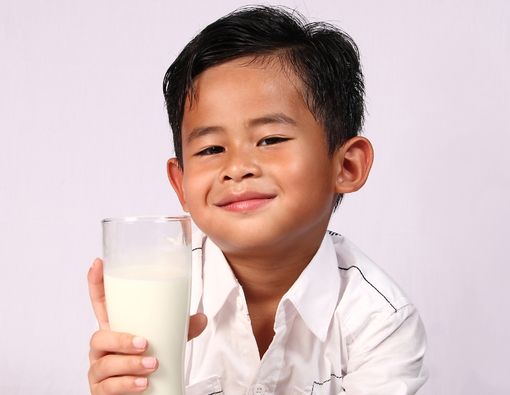 Mengenal Apa Itu Susu Ikan?