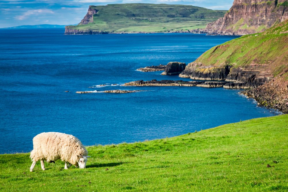 Dokter di Skotlandia Meresepkan Alam Sebagai Obat