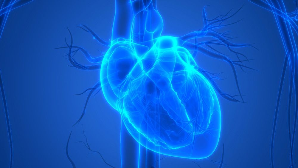 Kenali Penyebab Serangan Jantung di Usia Muda