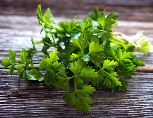 Dikenal Sebatas Penghias Makanan, Ini Manfaat Daun Parsley untuk Kesehatan