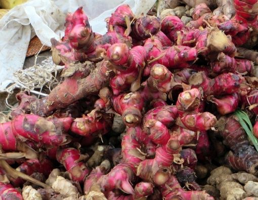 Benarkah Jahe Merah Bisa Tingkatkan Libido?