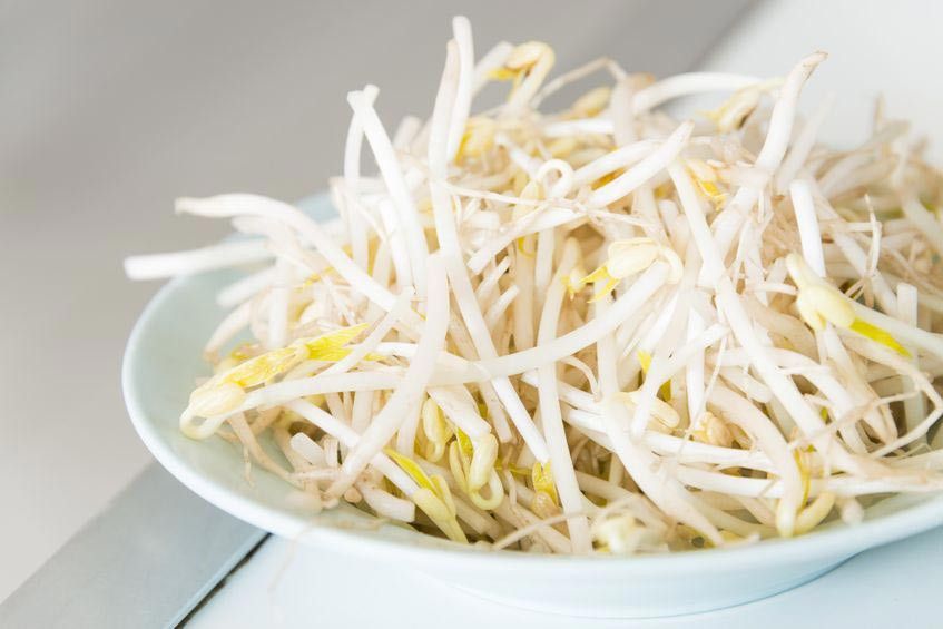 4 Manfaat Taoge yang Harus Anda Tahu