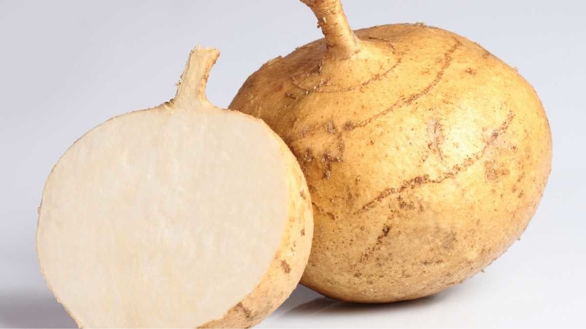 12 Manfaat Bengkoang untuk Kesehatan Anda