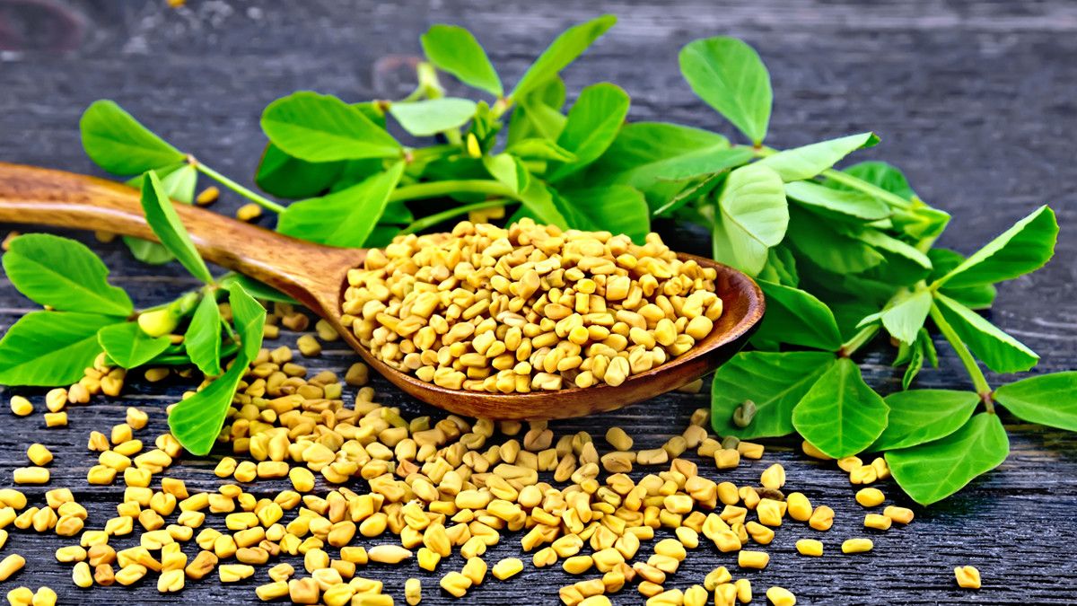 Bisa Lancarkan ASI, Ternyata Fenugreek Mengandung Ini!