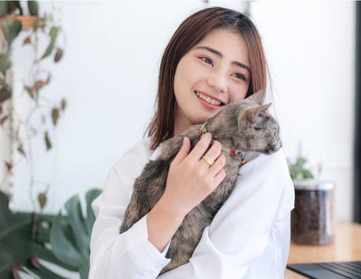 Benarkah Parasit Kucing Bisa Mengubah Perilaku Manusia?