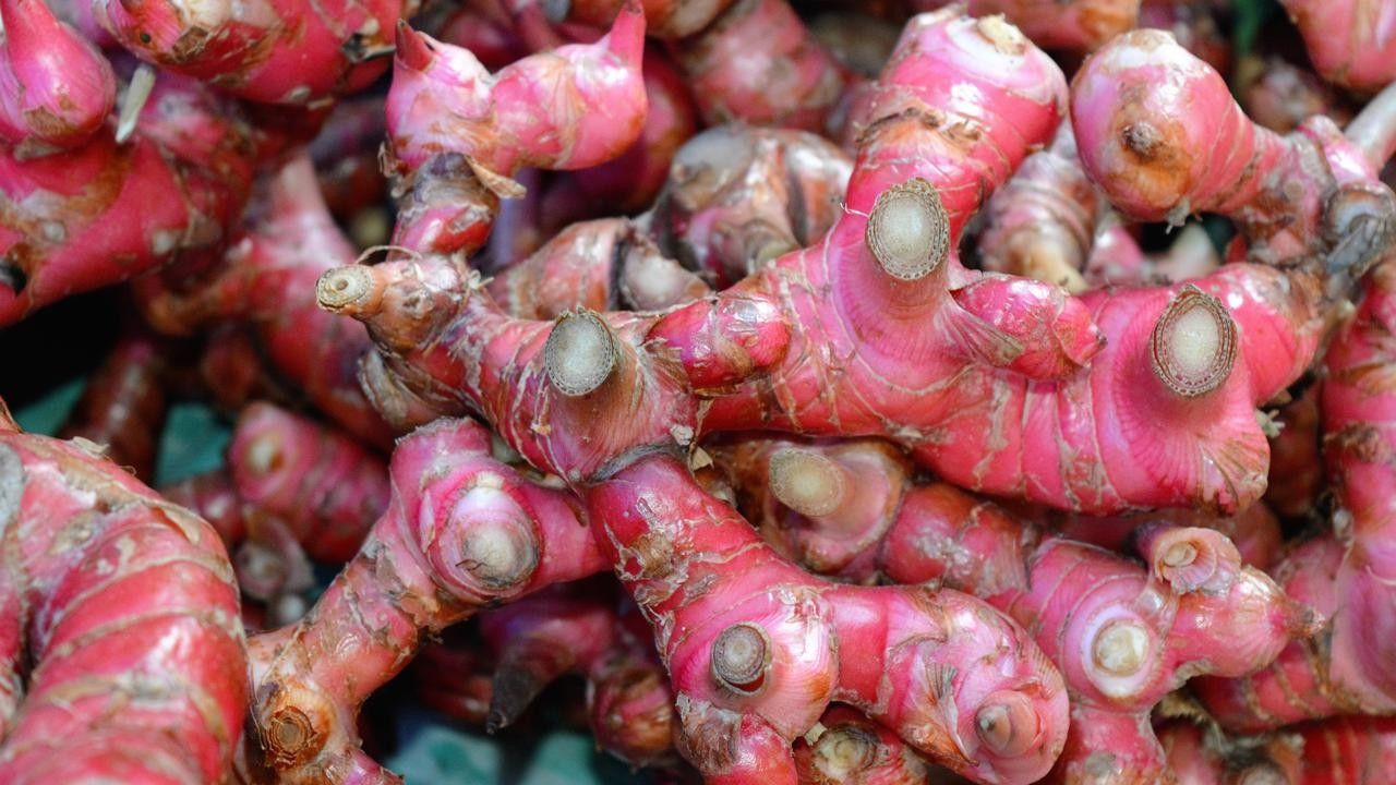 Manfaat Jahe Merah untuk Kesehatan Pencernaan