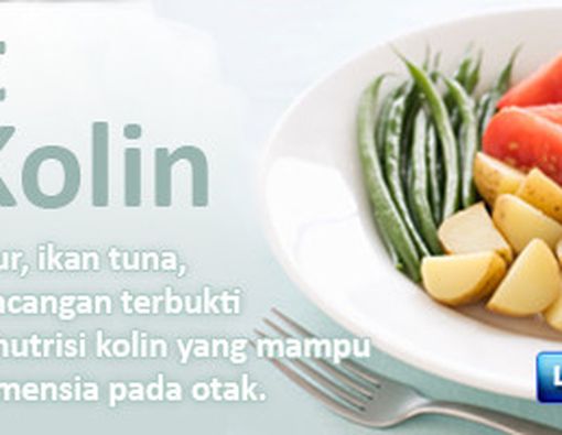 Diet Kolin Memperlambat Penuaan Otak