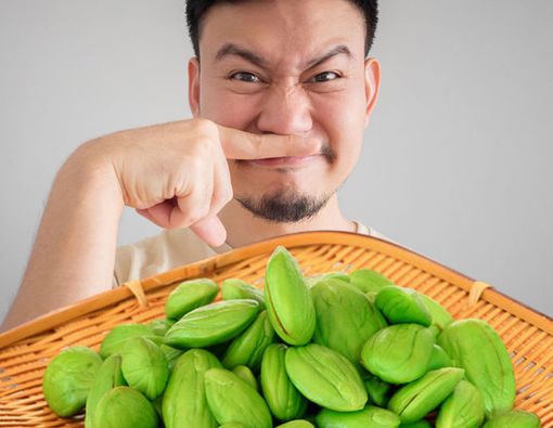Penyebab Urine Berbau Menyengat Setelah Makan Petai