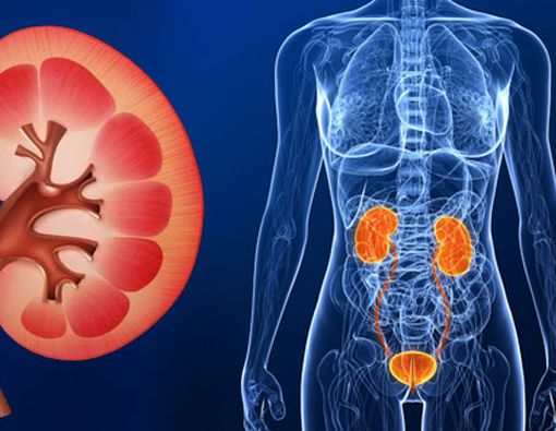 Ini Penyebab Gagal Ginjal di Usia Muda yang Perlu Diwaspadai