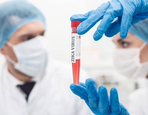 Virus Zika, Siapa Takut?