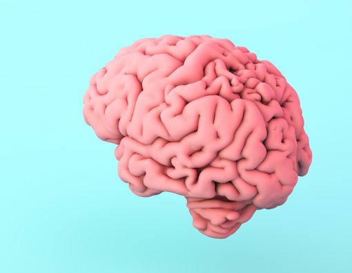 Hal-Hal yang Terjadi di Otak Ketika Melihat Pornografi