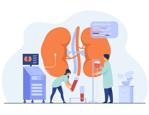 Hemodialisis: Apa Itu, Penyebab, Risiko, dan Efek Samping Cuci Darah