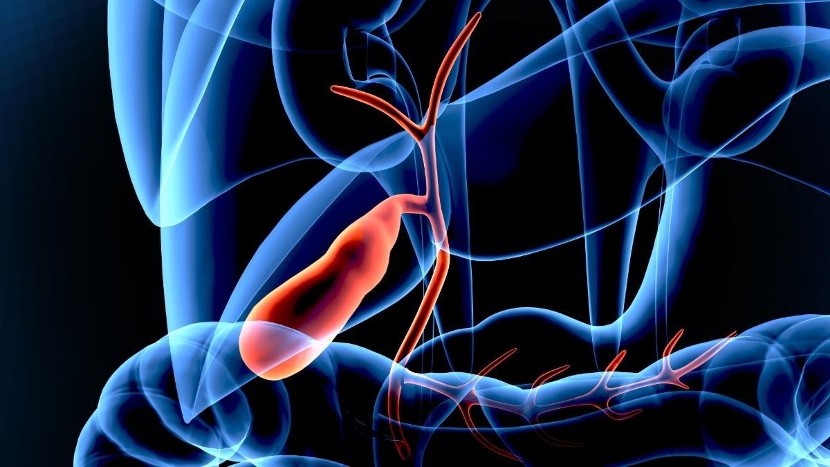 Kenali Fungsi Kantung Empedu dan Risiko Penyakitnya