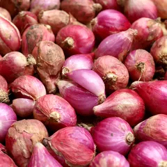 15 Manfaat Bawang Merah untuk Kesehatan Kamu, Apa Saja?