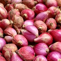 15 Manfaat Bawang Merah untuk Kesehatan Kamu, Apa Saja?