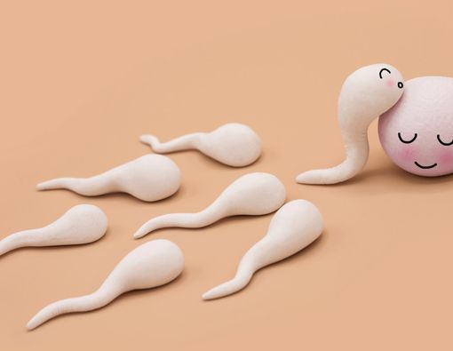 Ayolni sperma bilan toldirish