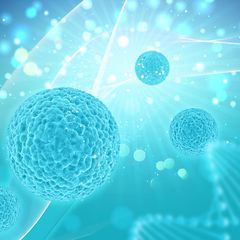 Stem Cell Tumbuhan dan Manusia Itu Berbeda, Ini Penjelasannya!