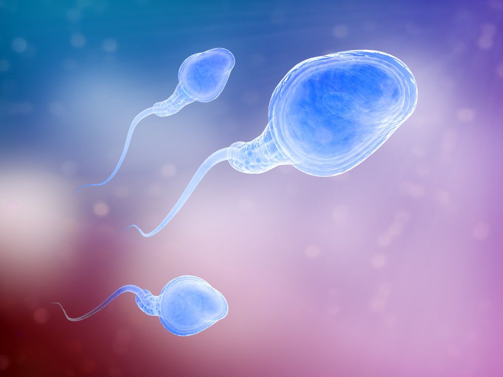 5 Tips untuk Sperma Lebih Sehat