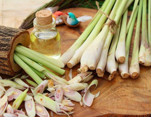 14 Manfaat Sereh yang Baik untuk Kesehatanmu