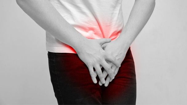 Jinsiy olatni ichki anatomiyasi chizmalari