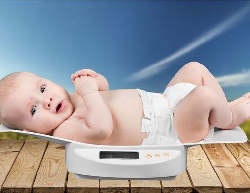 Pengaruh Makanan Organik  Terhadap Tumbuh Kembang Anak