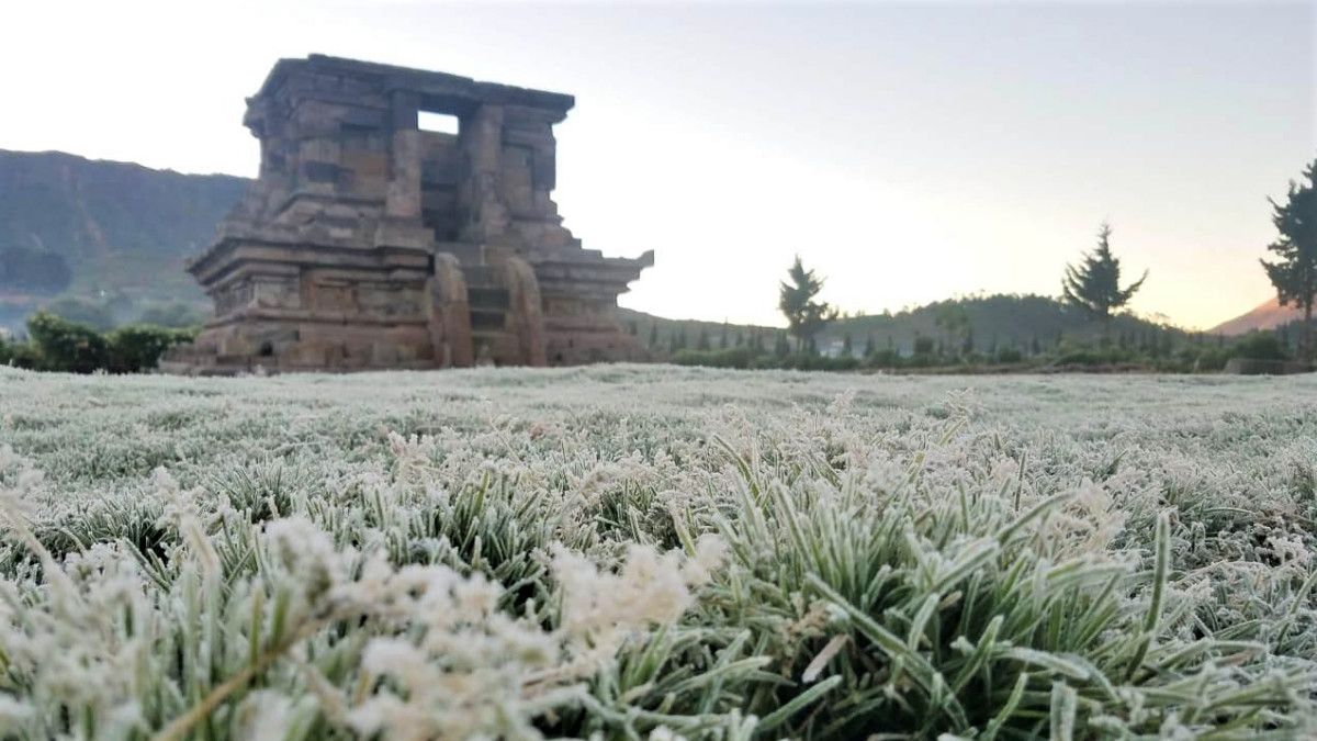 Suhu Dingin Ekstrem di Dieng Bisa Picu Gangguan Kesehatan Ini