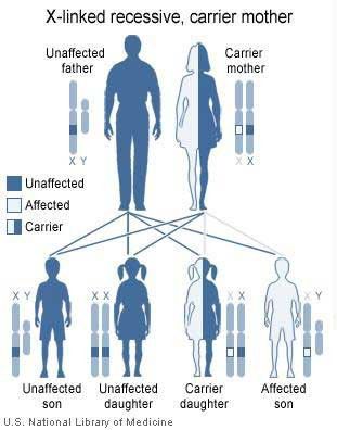 Penelitian Terbaru Bagi Penderita Hemophilia B
