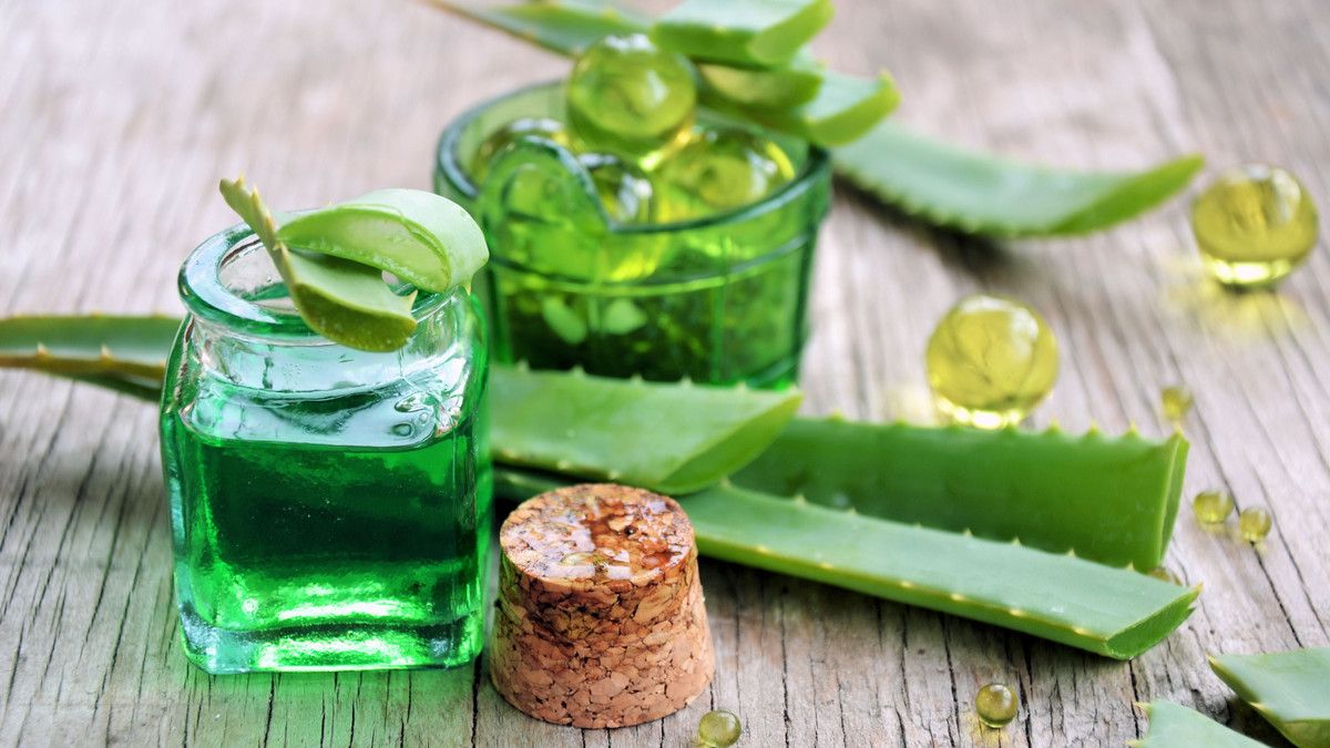 Masker Lidah Buaya, Efektifkah Jaga Kesehatan Rambut?