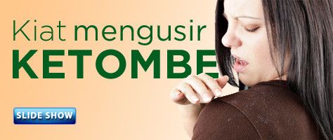 6 Kiat Mengatasi Ketombe