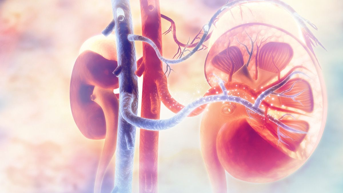 Awas, 7 Kebiasaan Ini Bisa Merusak Kesehatan Ginjal Anda!