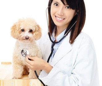 5 Keuntungan Memiliki Hewan Peliharaan