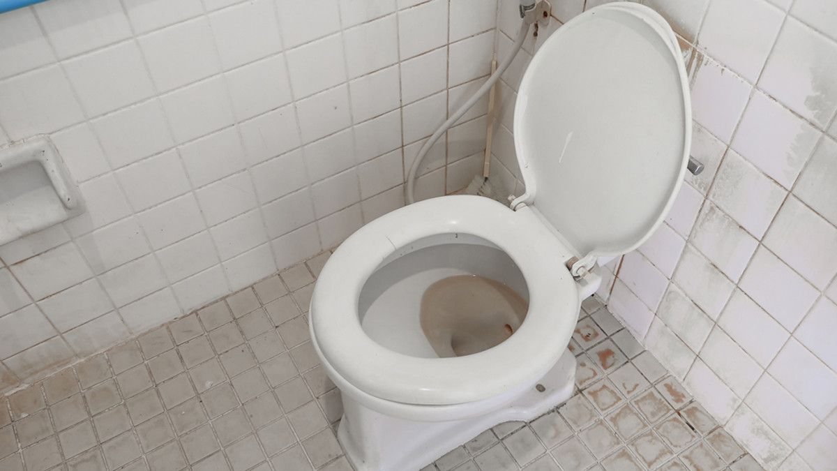 Tips Menggunakan Toilet Umum yang Kotor KlikDokter