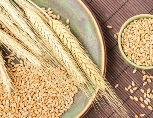 Tak Cuma Bagus untuk Tubuh, Ini Manfaat Gandum untuk Kecantikan