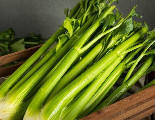 20 Manfaat Melimpah Seledri untuk Kesehatan Tubuh
