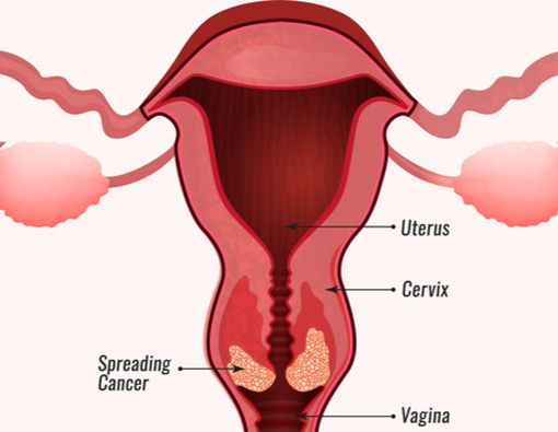 Mobil telefonlar uchun yotoqxona porno videolar