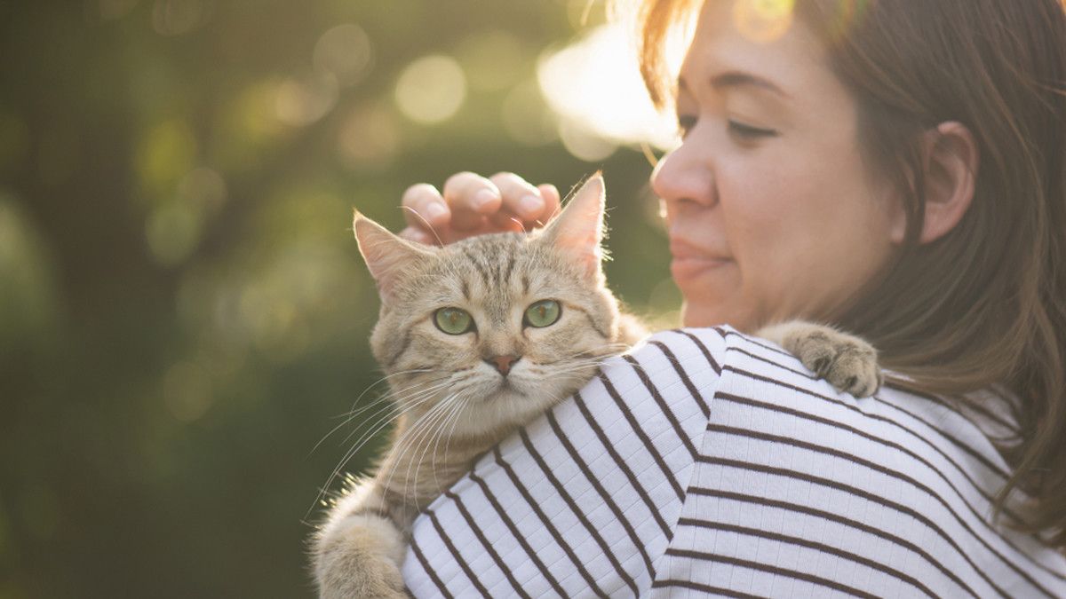 Bahaya Mengidap Toksoplasma pada Ibu Hamil
