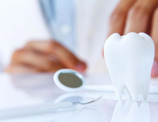 Tandur Tulang (Bone Graft) Produksi BATAN Dukung Regenerasi Tulang