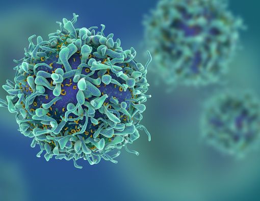 Hindari Konsumsi Ini Kalau Ingin Bebas Kanker