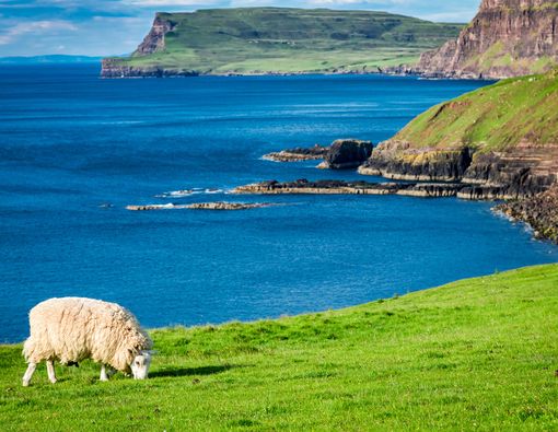 Dokter di Skotlandia Meresepkan Alam Sebagai Obat