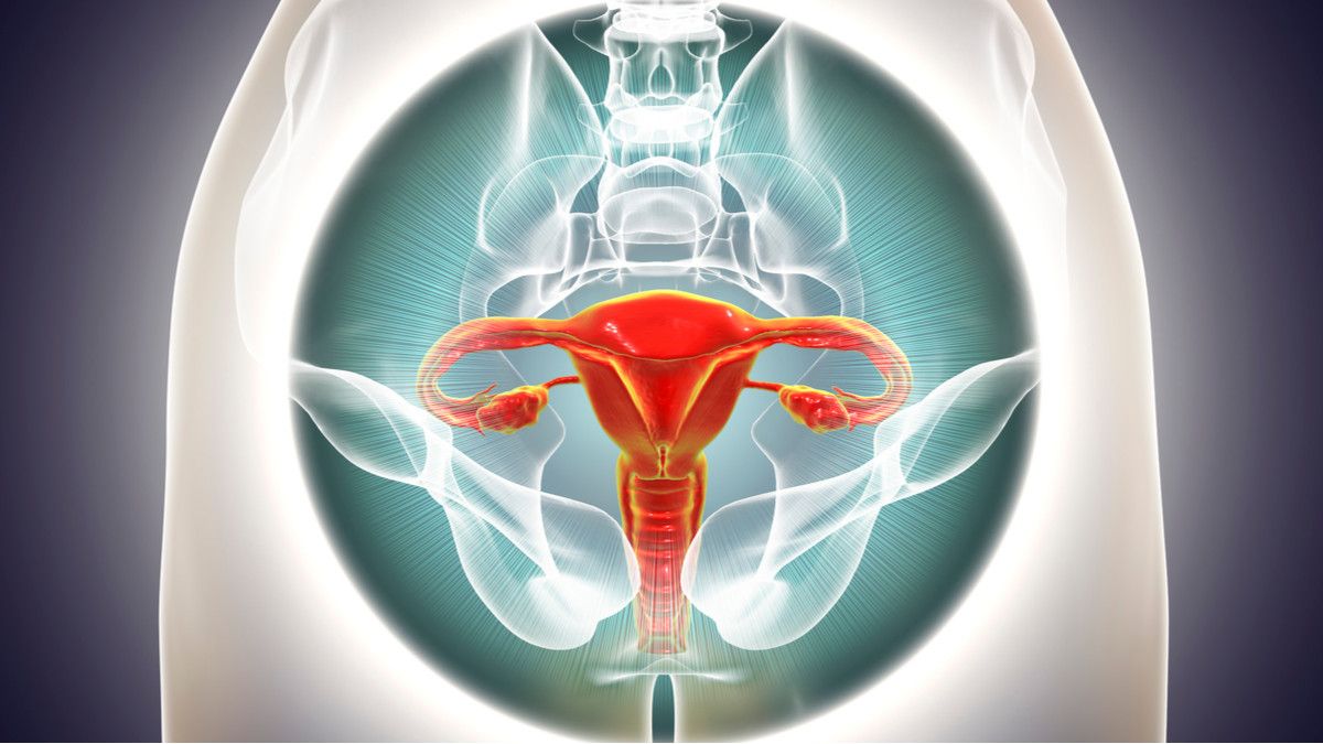 9 Fakta tentang Ovarium yang Perlu Diketahui Wanita