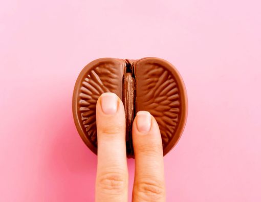 Vagina Kemasukan Binatang Kecil, Apa yang Harus Dilakukan?