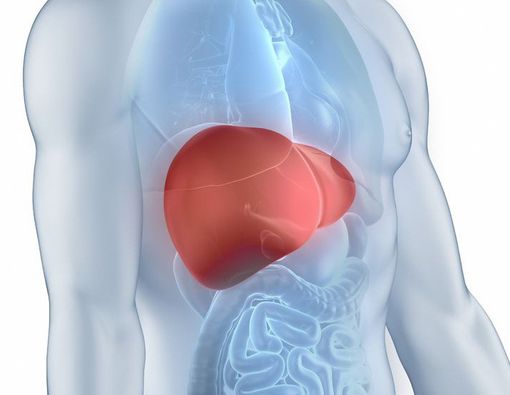 Mengenal 2 Jenis Penyakit Hati Keturunan