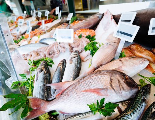 Pilihan Ikan Terbaik untuk Jantung Sehat